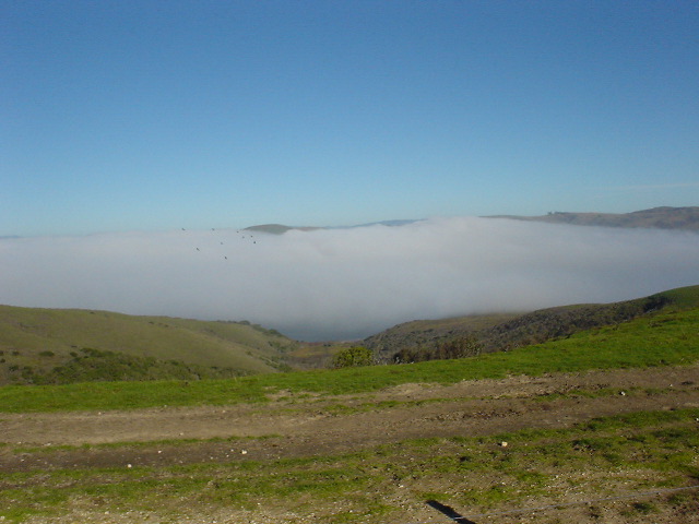 dsc00967
