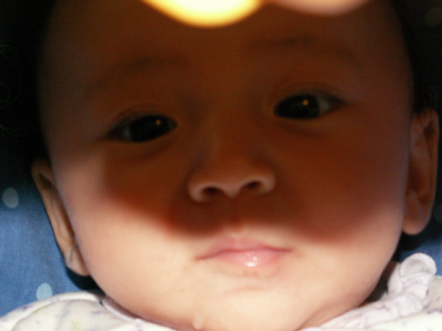 PICT0029.JPG