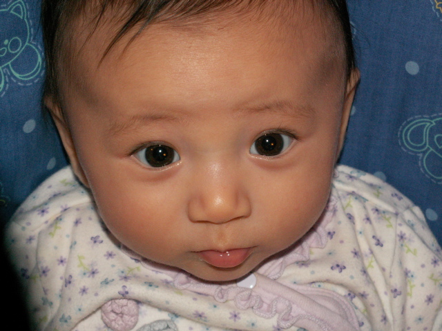 PICT0033.JPG