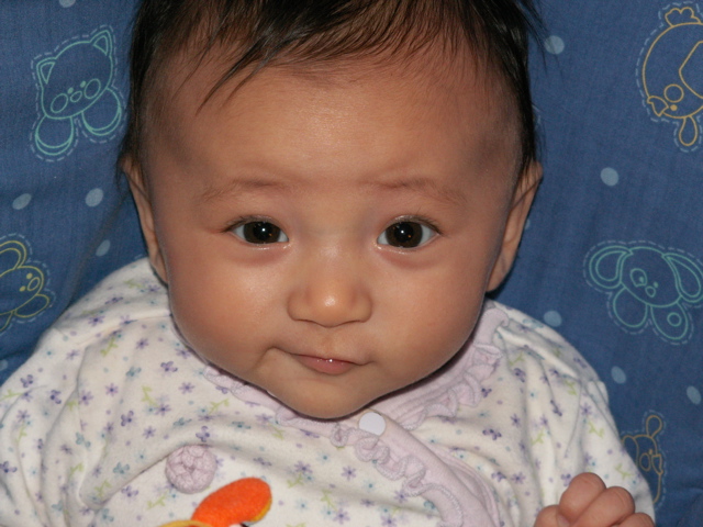 PICT0035.JPG