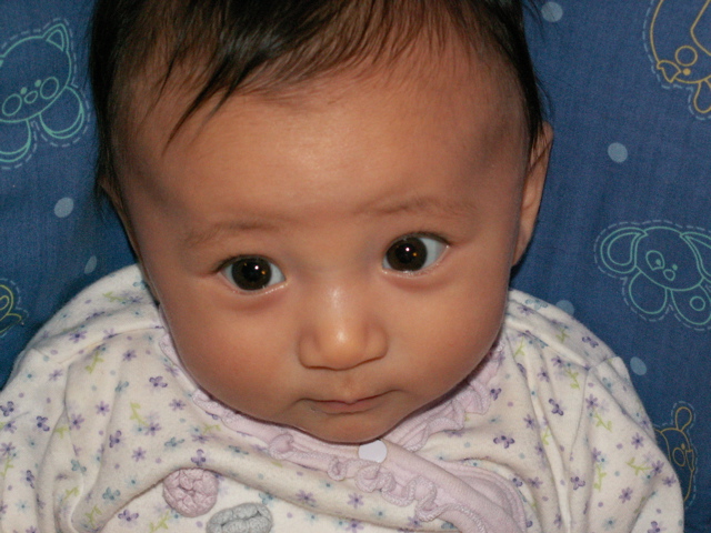 PICT0034.JPG