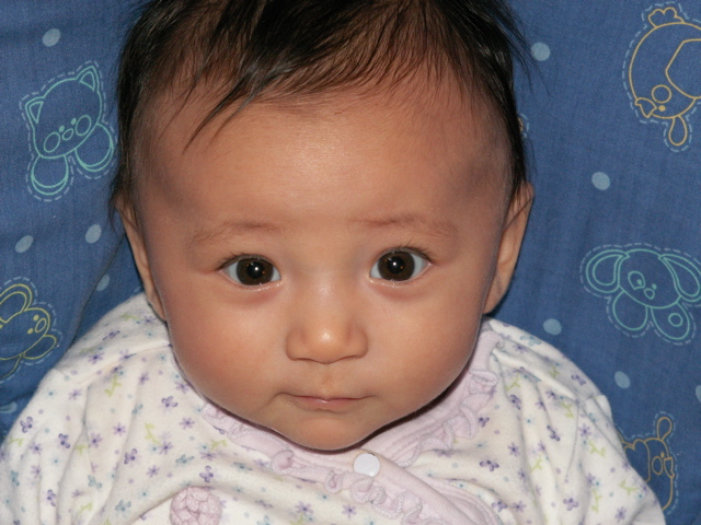 PICT0038.JPG