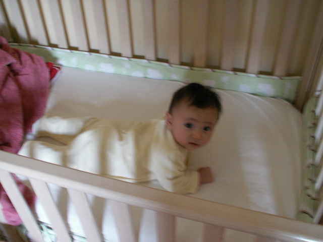PICT0041.JPG