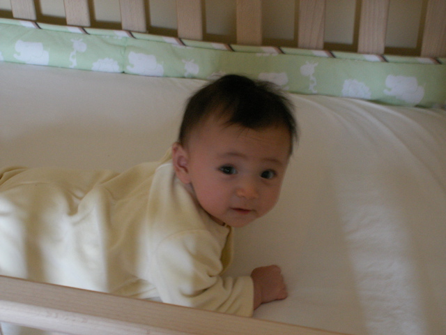 PICT0042.JPG