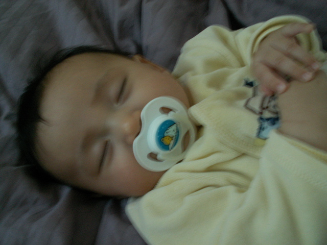 PICT0048.JPG