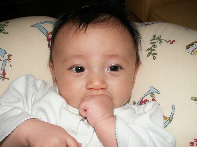 PICT0021.JPG