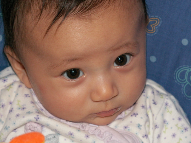 PICT0027.JPG