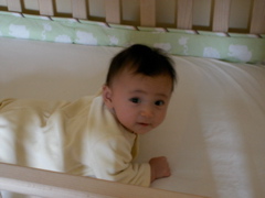 PICT0042.JPG
