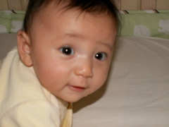 PICT0047.JPG
