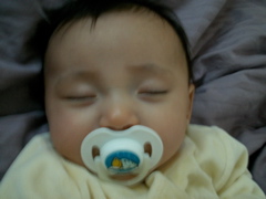 PICT0049.JPG