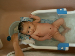 PICT0061.JPG