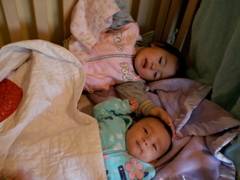 PICT0150.JPG
