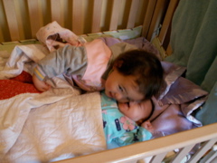 PICT0151.JPG