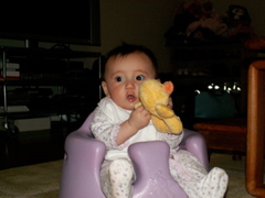 PICT0102.JPG