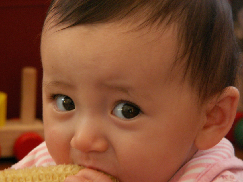 PICT0012.JPG