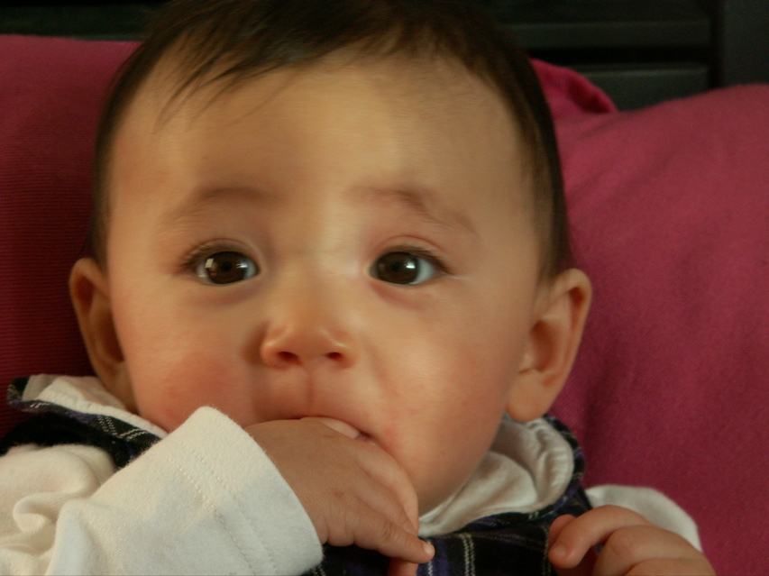 PICT0038.JPG