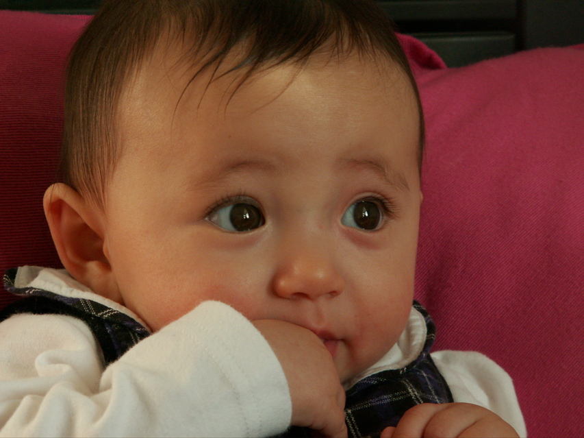 PICT0039.JPG