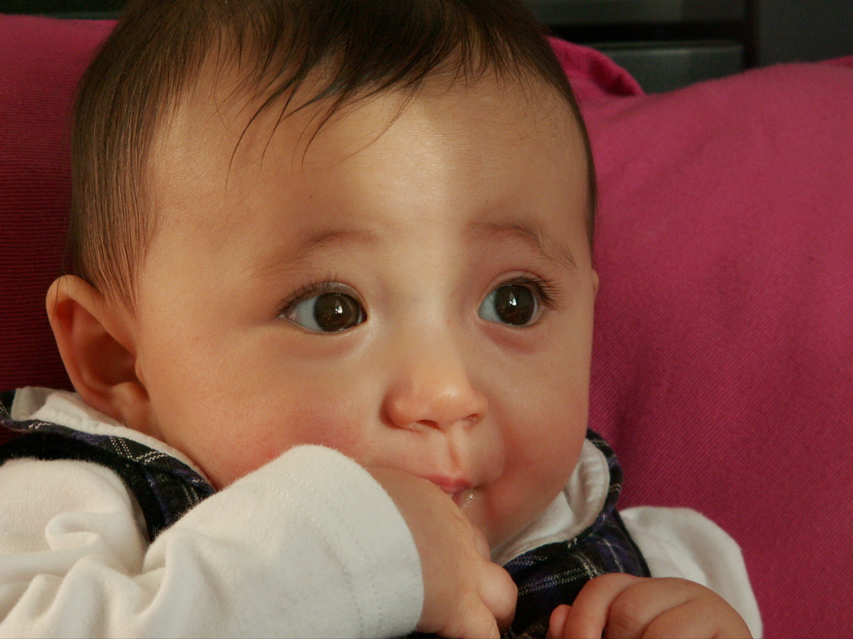 PICT0040.JPG