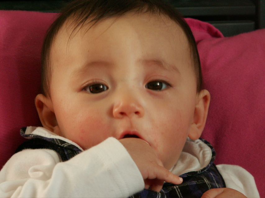 PICT0041.JPG