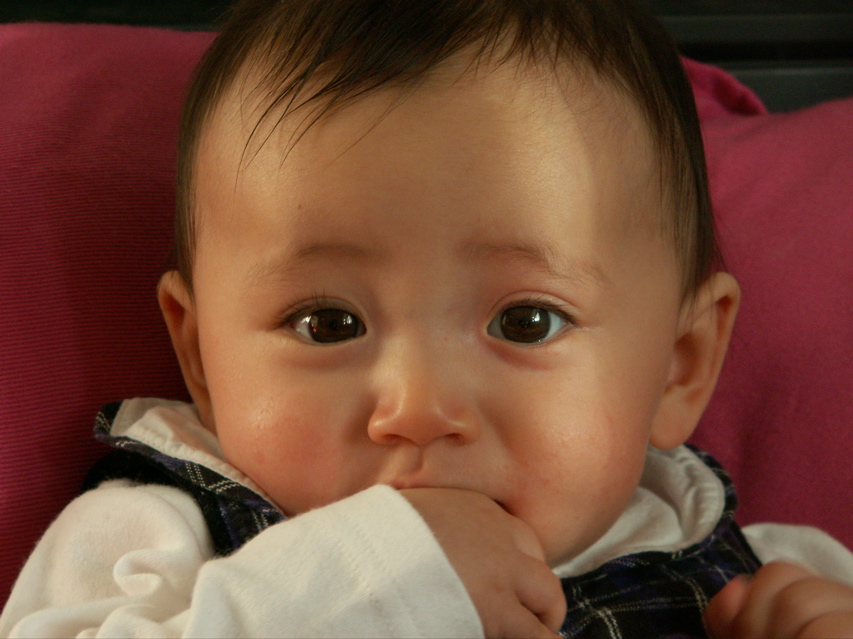 PICT0042.JPG