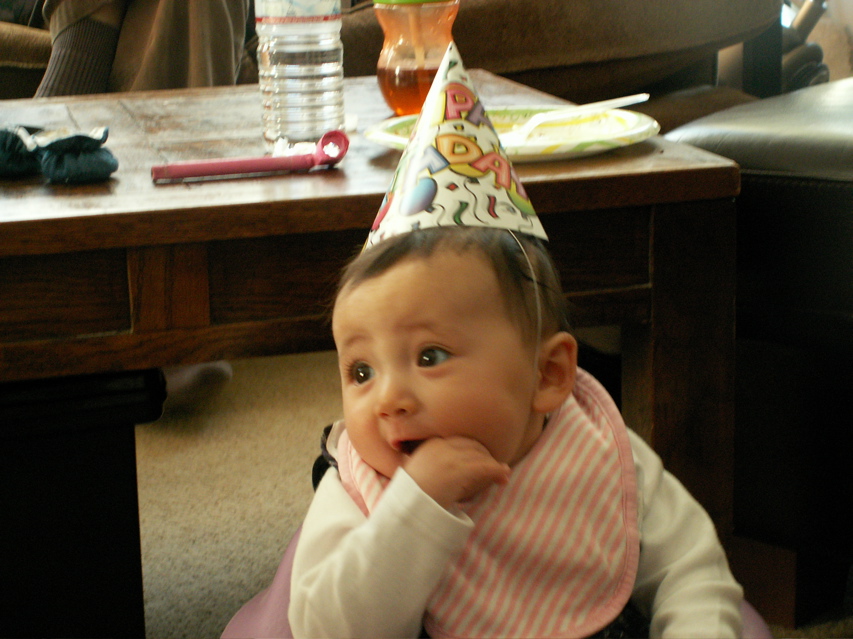 PICT0058.JPG