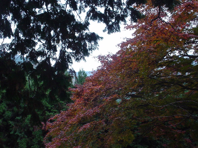 Roll 62 - 179