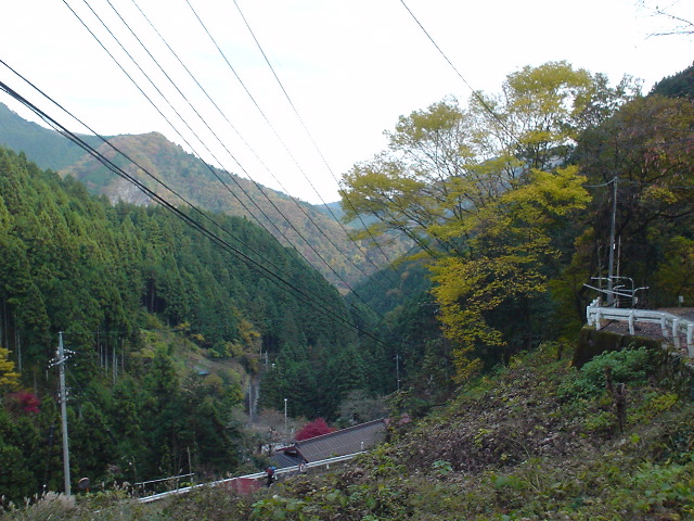 Roll 62 - 181