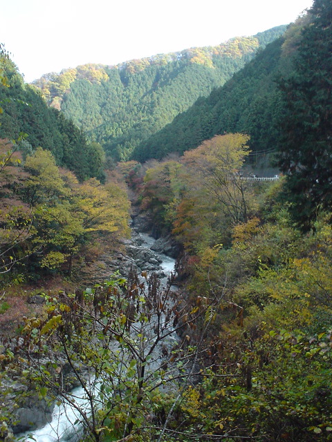Roll 62 - 149