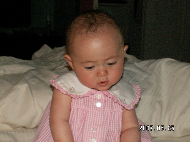 Roll 120 - 48