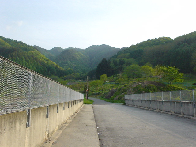 DSC03811