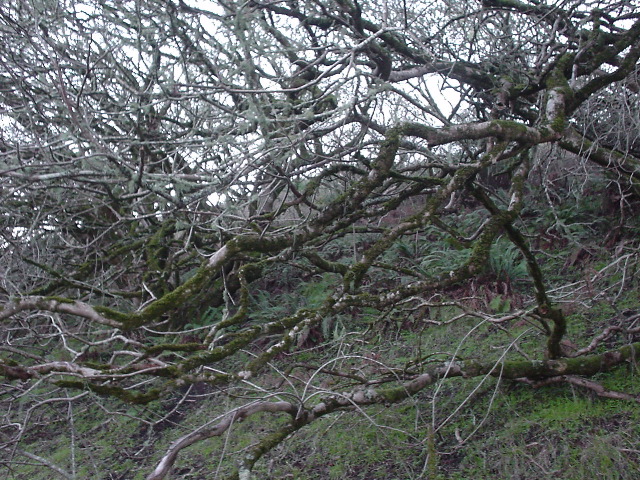 dsc00982
