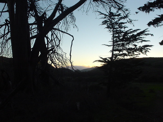 dsc00983