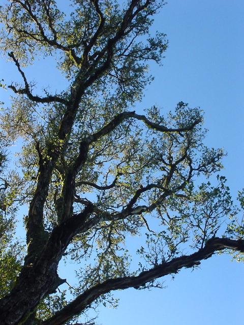dsc00970