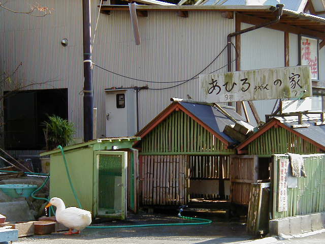 p1010061