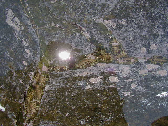 p1010076