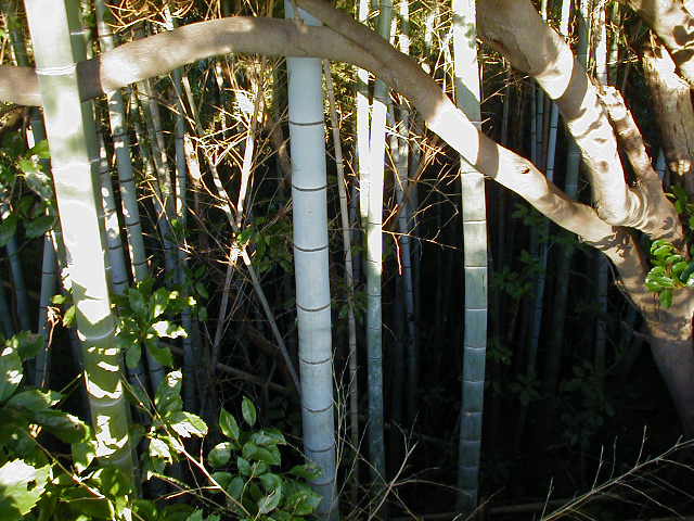 p1010081