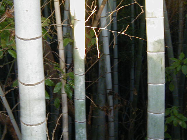 p1010082