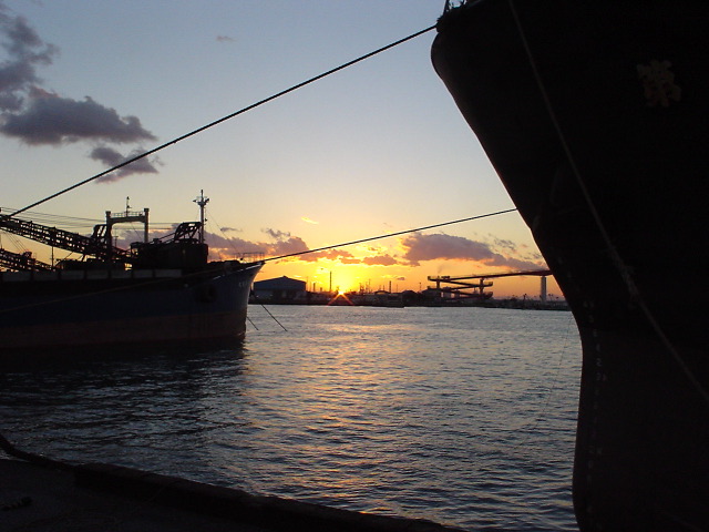 dsc00666