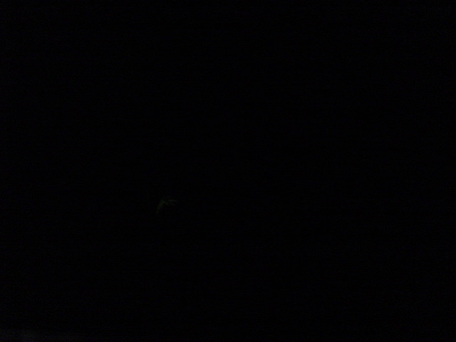 dsc00703