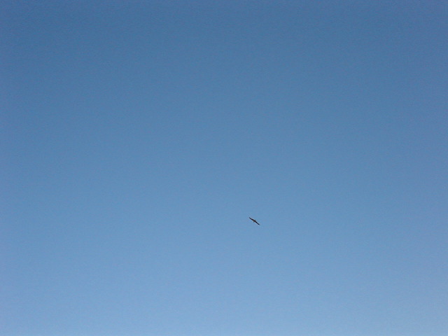 dsc00604
