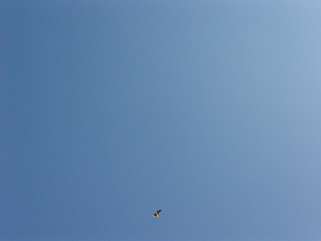 dsc00605