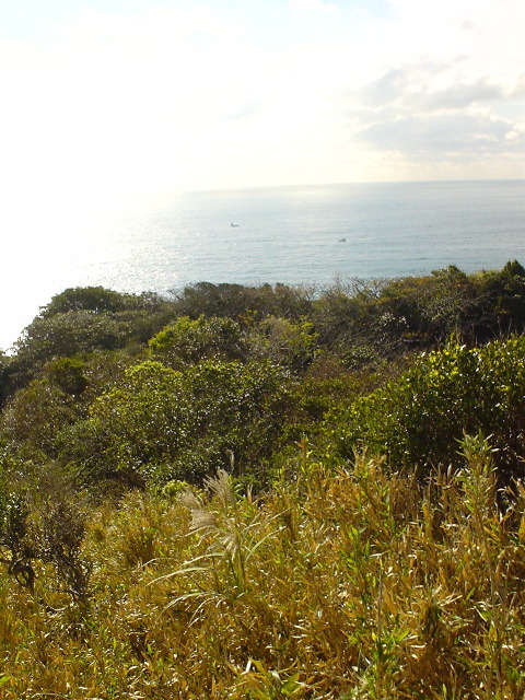 dsc00620