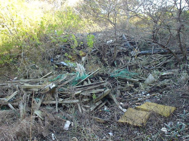 dsc00623
