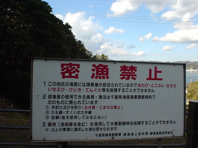 dsc00629