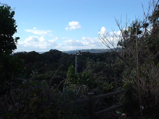 dsc00638
