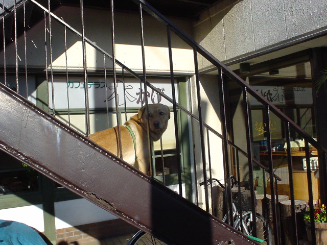 dsc00644