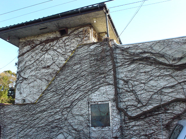 dsc00650