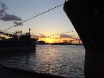 dsc00666