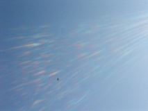 dsc00606