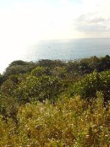 dsc00620